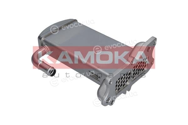 Kamoka 19C068
