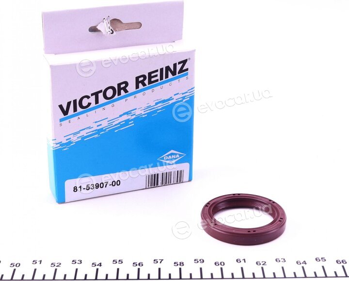 Victor Reinz 81-53907-00