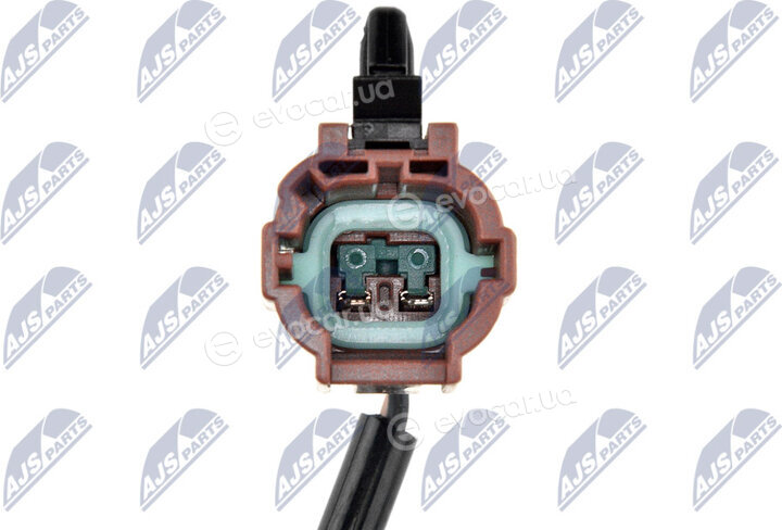 NTY HCA-NS-077