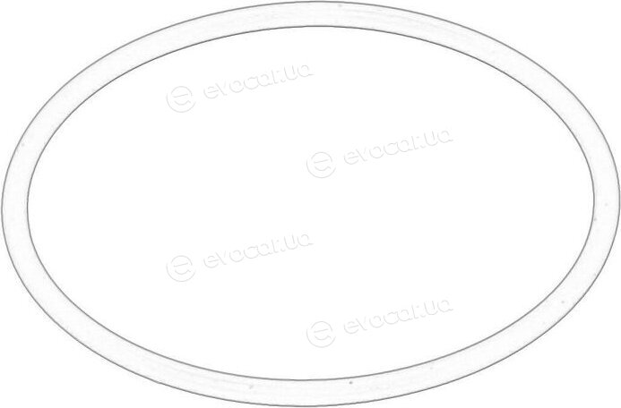 BMW / Mini 11 66 7 509 080