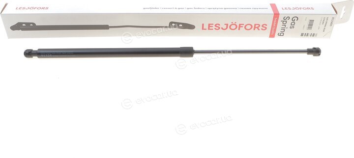 Lesjofors 8115655