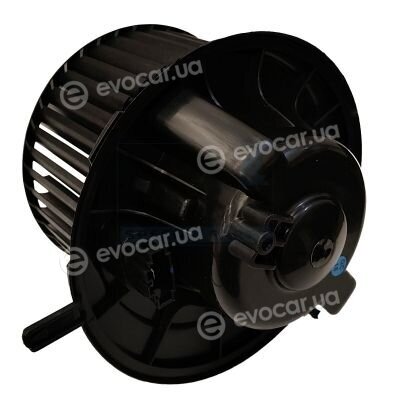 Meat & Doria 994428