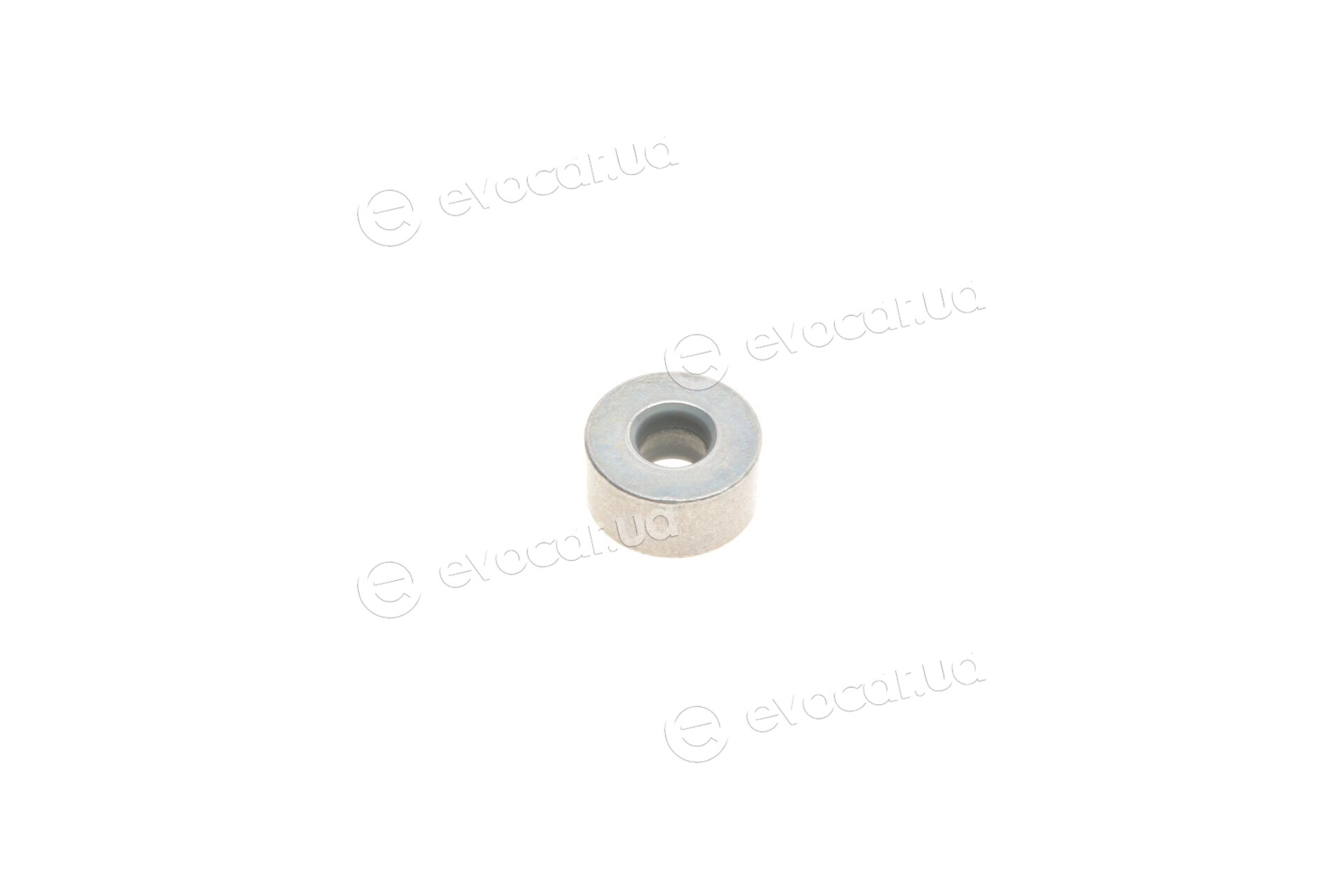 Gates KP35671XS