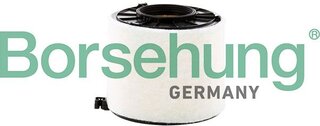 Borsehung B13198