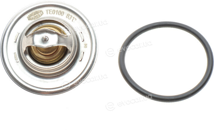 Magneti Marelli 352317101000