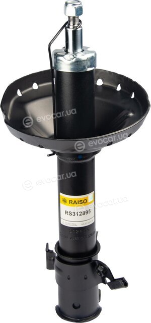 Raiso RS312895