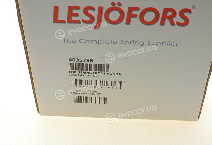 Lesjofors 4035756