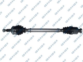 GSP 250211