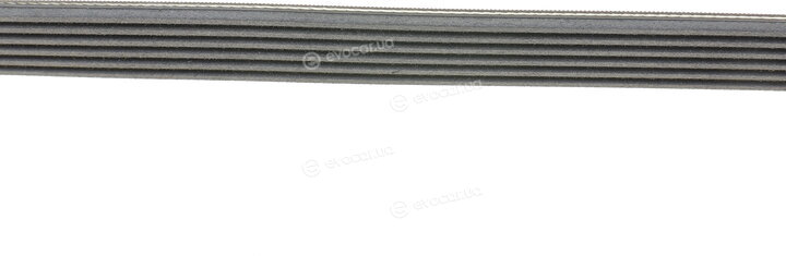 Continental 6PK1310