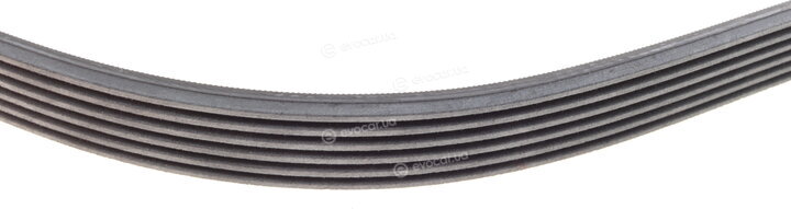Continental 6PK1026K1