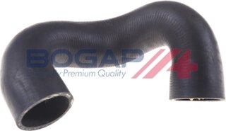 Bogap B4228179