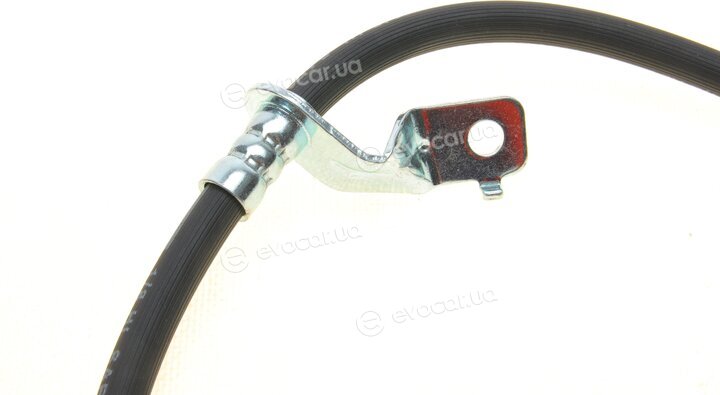 Kavo BBH-3209