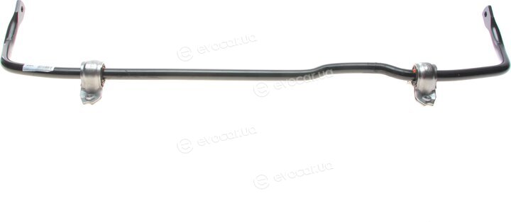 Borsehung B12629