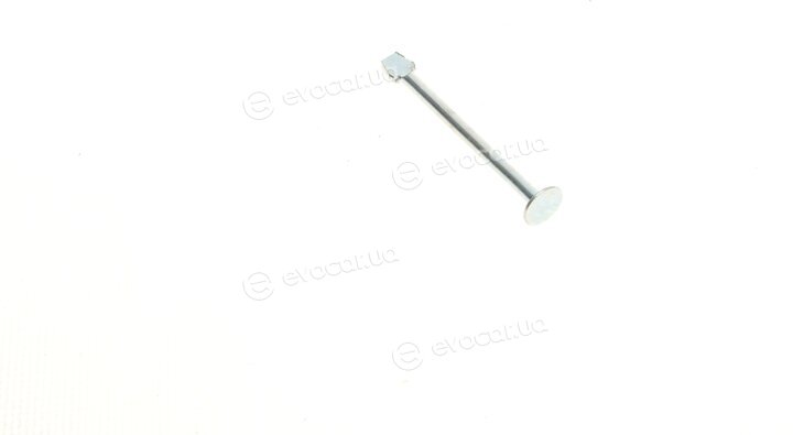 AIC 54813