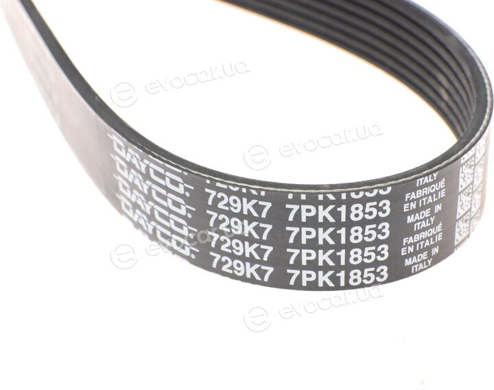 Dayco 7PK1853