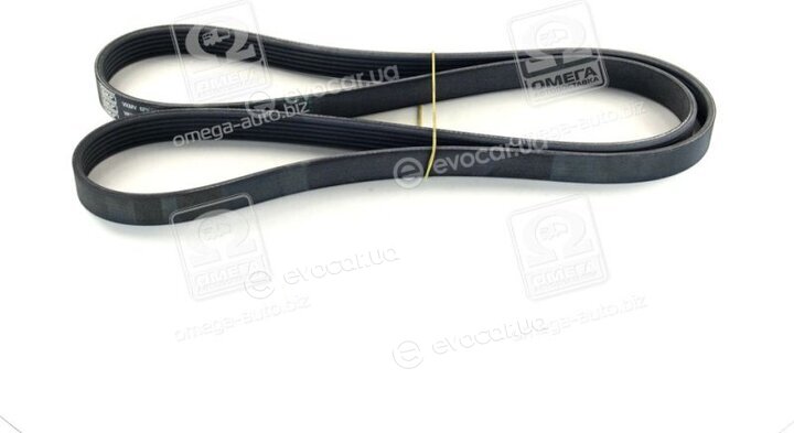 SKF VKMV 6PK1660