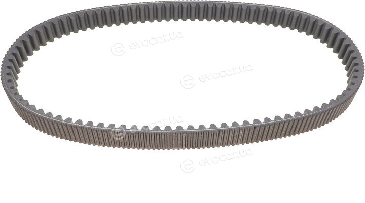 Dayco HPX2239
