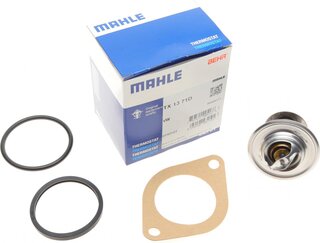 Mahle TX 13 71D