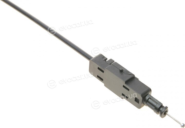 Solgy 306120