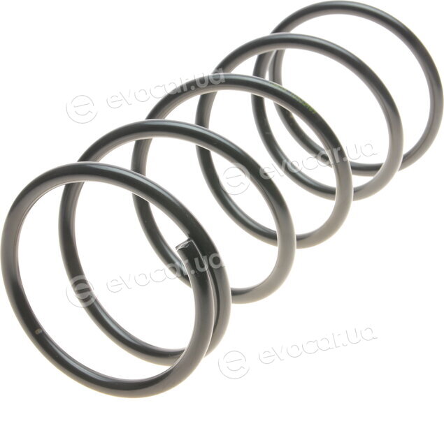 Lesjofors 4262021