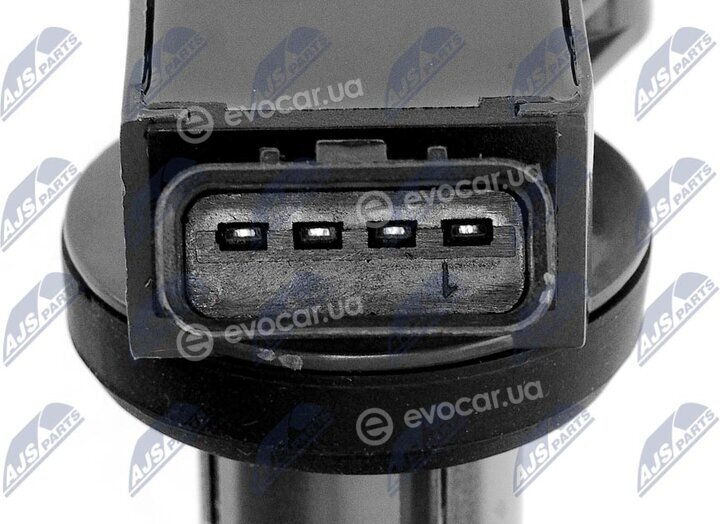 NTY ECZ-TY-012