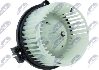 NTY EWN-MS-005