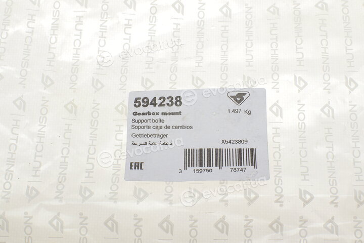 Hutchinson 594238
