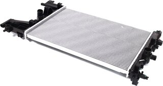AVA OLA2484
