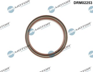 Dr. Motor DRM02253