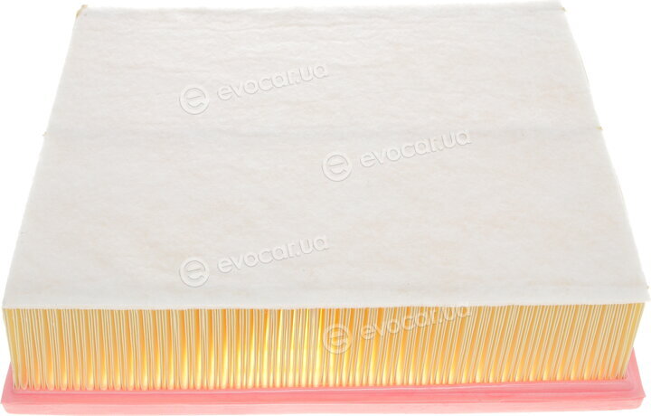Solgy 103003
