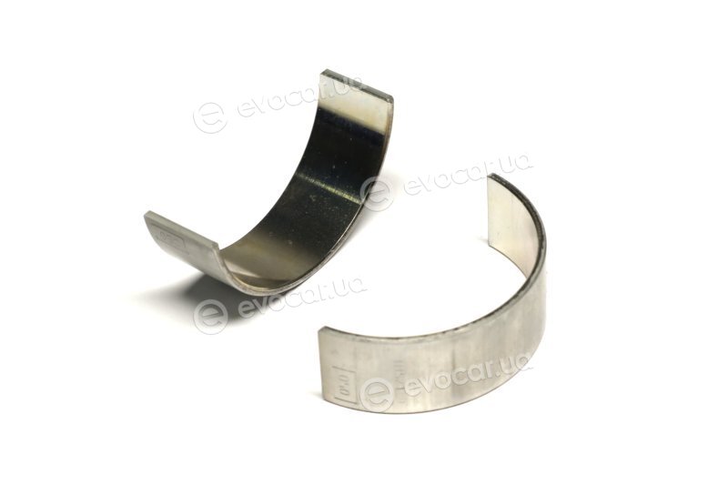 Mahle 029 PL 21921 050