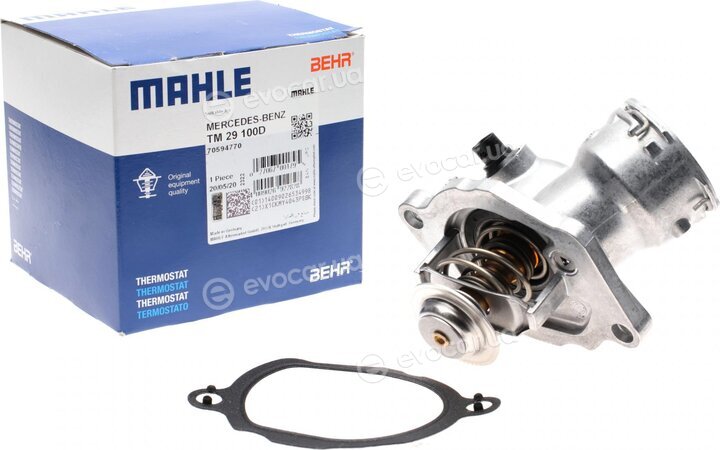 Mahle TM 29 100D