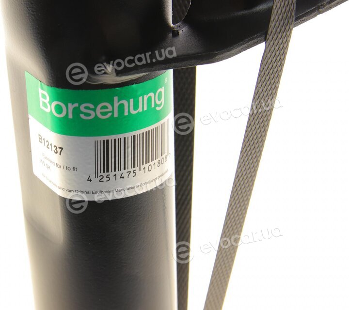 Borsehung B12137