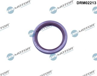 Dr. Motor DRM02213