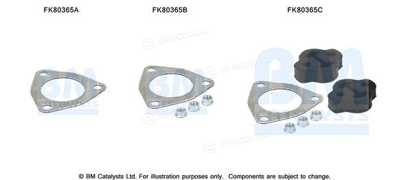 BM Catalysts FK80365