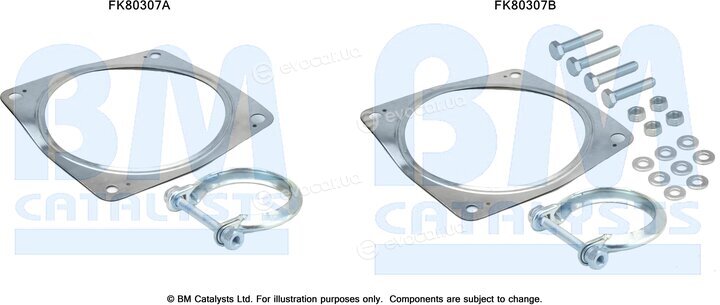 BM Catalysts FK80307