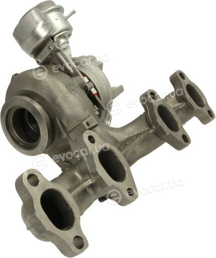 BorgWarner 54399900029