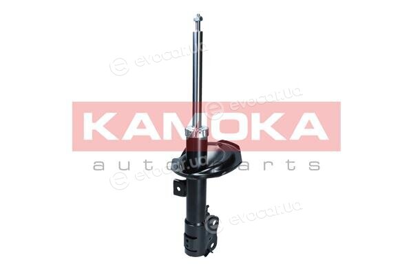 Kamoka 2001116