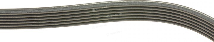 Dayco 6PK1115