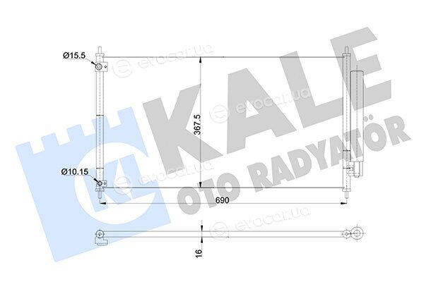 Kale 345405