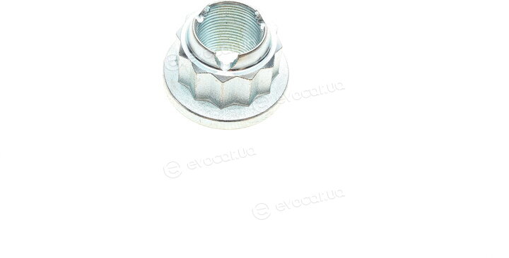 Solgy 216169