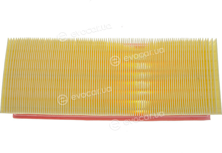Solgy 103123
