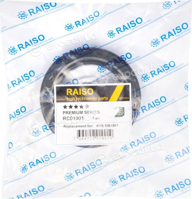 Raiso RC01901