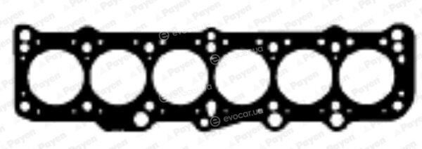 Payen BW700