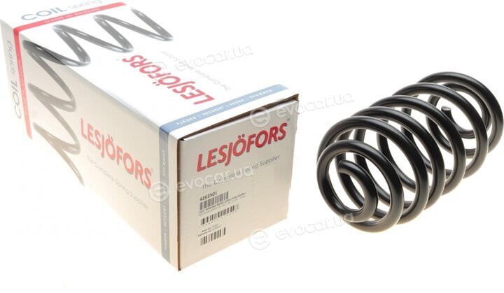 Lesjofors 4263501