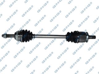 GSP 239217