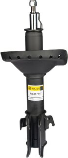 Raiso RS317147