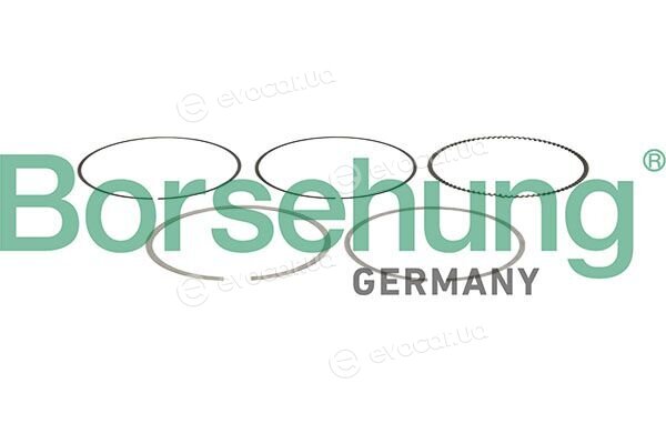 Borsehung B13257