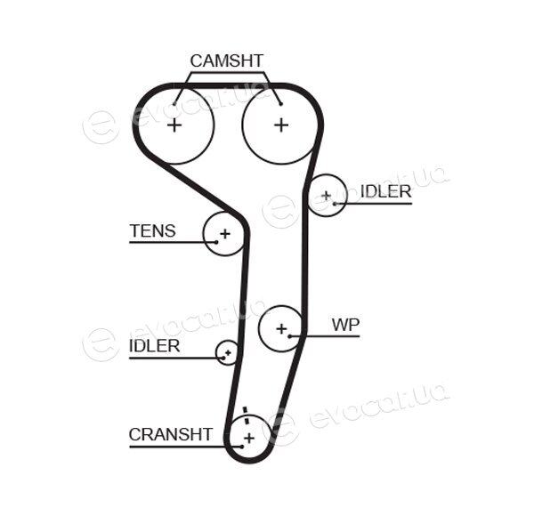 Gates K015607XS