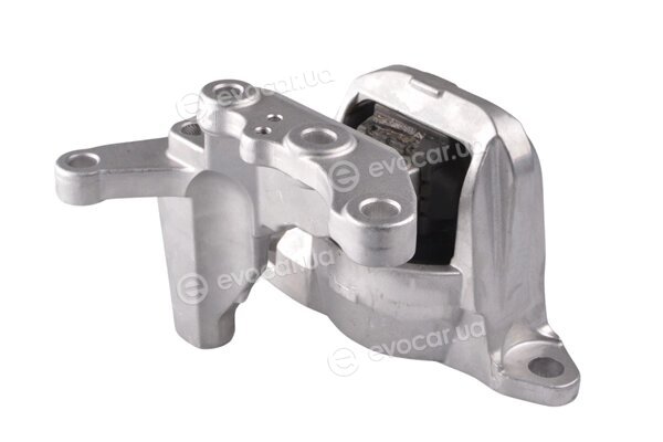 Tedgum TED49780